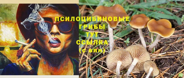 гашишное масло Богородск