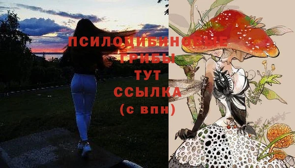 гашишное масло Богородск