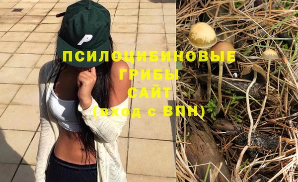 гашиш Богданович