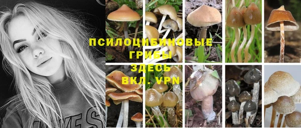 гашишное масло Богородск