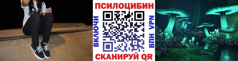 Псилоцибиновые грибы GOLDEN TEACHER Катайск